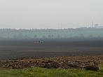 Třibřichy